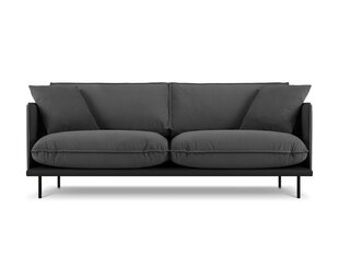 Трехместный диван Interieurs 86 Auguste, темно-серый цена и информация | Диваны | kaup24.ee