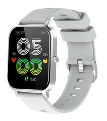 Умные часы Denver SW-181GREY, серые цена и информация | Смарт-часы (smartwatch) | kaup24.ee