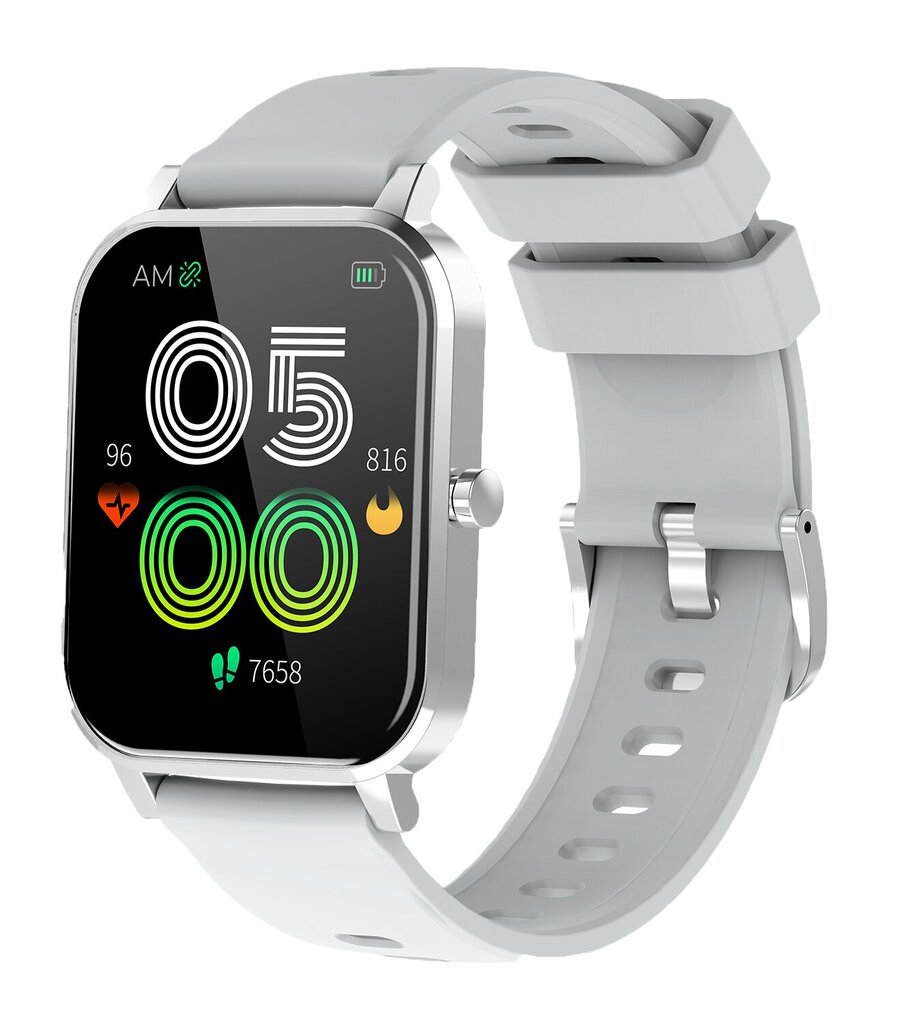 Denver SW-181 Grey цена и информация | Nutikellad (smartwatch) | kaup24.ee