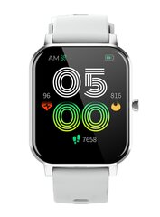 Denver SW-181 Grey цена и информация | Смарт-часы (smartwatch) | kaup24.ee