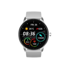 Denver SW-173 Grey цена и информация | Смарт-часы (smartwatch) | kaup24.ee