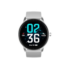 Denver SW-173, серый цена и информация | Смарт-часы (smartwatch) | kaup24.ee