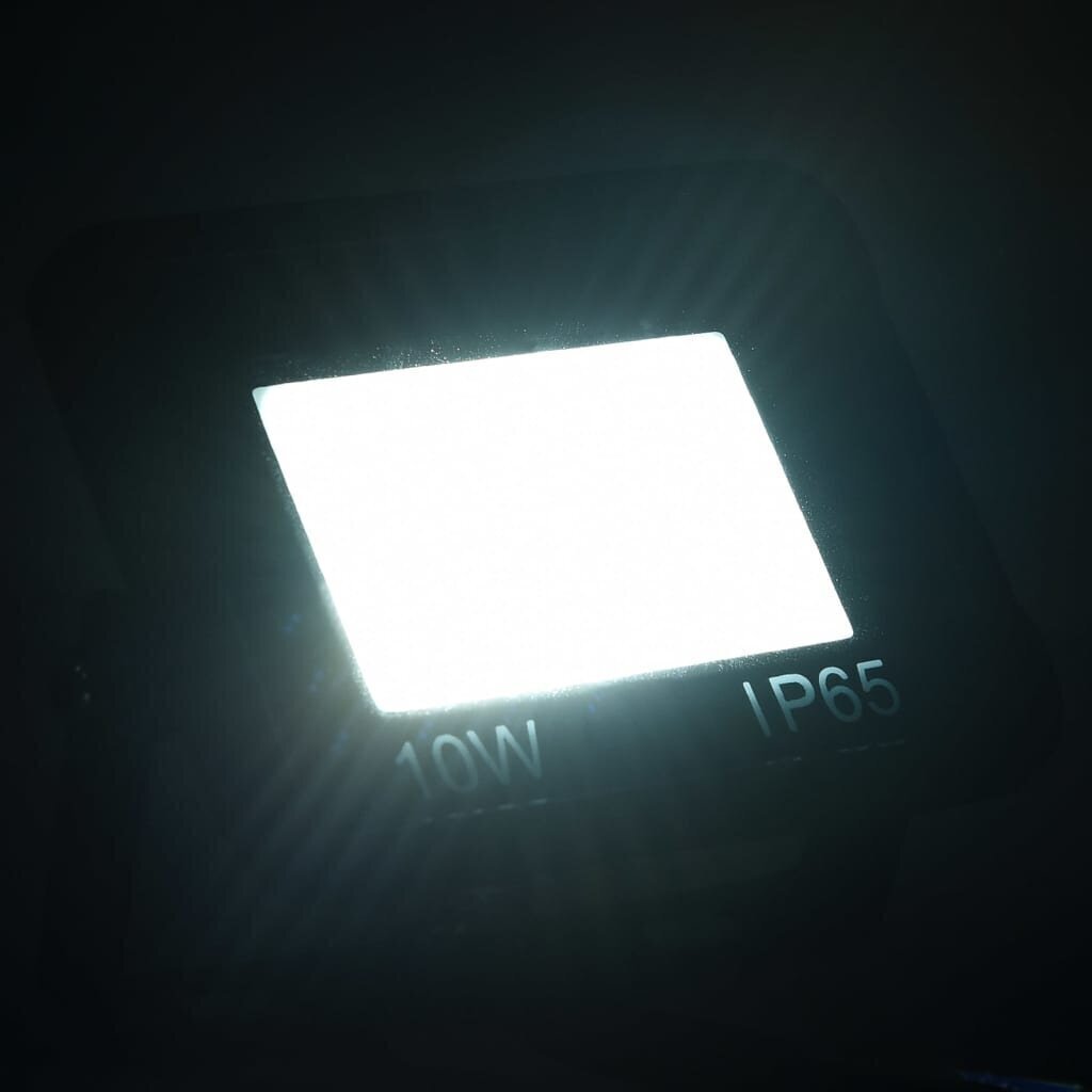 LED prožektoriai, 10 W hind ja info | Valgustid ja lambid | kaup24.ee