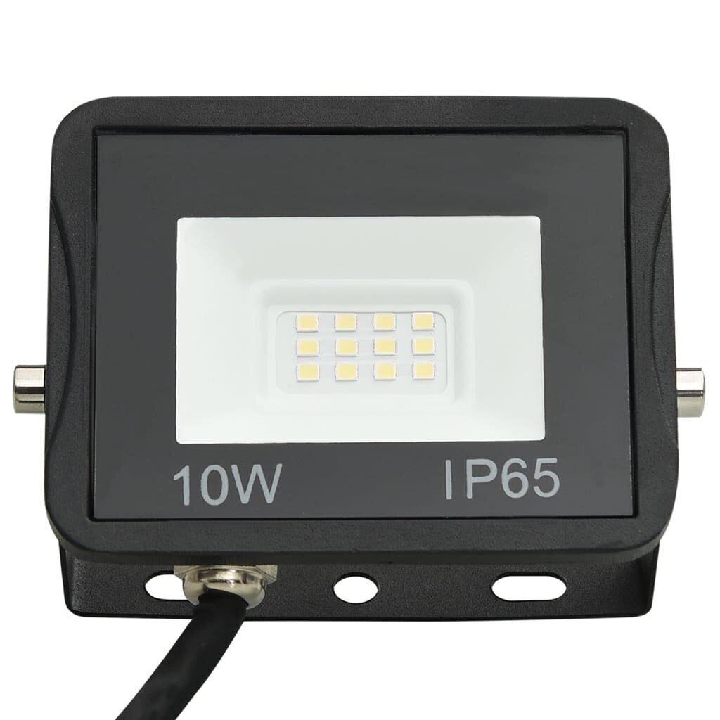 LED prožektoriai, 10 W hind ja info | Valgustid ja lambid | kaup24.ee