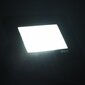 LED prožektoriai, 20 W цена и информация | Valgustid ja lambid | kaup24.ee