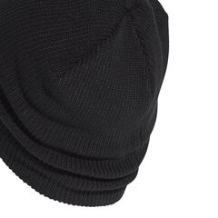 Шапка Adidas Perf Beanie Black GE0609/OSFL цена и информация | Мужские шарфы, шапки, перчатки | kaup24.ee