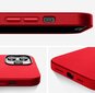 Ümbris Apple iPhone 12 / 12 Pro, eco-nahast, punane (red apple) цена и информация | Telefoni kaaned, ümbrised | kaup24.ee