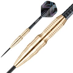 Nooled Winmau Simon Whitlock, 22 g hind ja info | Noolemängud | kaup24.ee