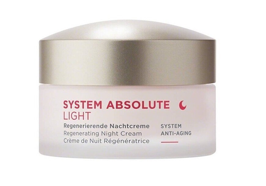 Päevakreem Annemarie Borlind System Absolute Light, 50 ml цена и информация | Näokreemid | kaup24.ee