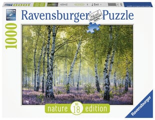 Пазл Ravensburger Birch Forest, 1000 д, 16753 цена и информация | Пазлы | kaup24.ee