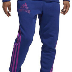 Pikad spordipüksid Adidas Reverse Retro Future Icons Sinine Mehed S6434527 hind ja info | Meeste spordiriided | kaup24.ee