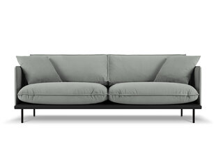 Четырехместный диван Interieurs 86 Auguste, серый цена и информация | Диваны | kaup24.ee