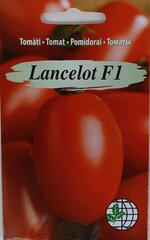 Tomat Lancelot F1 hind ja info | Köögivilja-, marjaseemned | kaup24.ee