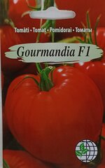 Помидоры Gourmandia F1 цена и информация | Семена овощей, ягод | kaup24.ee