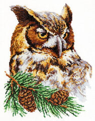 Tikkimiskomplekt Magic Needle "Owl" 64-03 hind ja info | Tikkimistarvikud | kaup24.ee