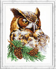 Tikkimiskomplekt Magic Needle "Owl" 64-03 hind ja info | Tikkimistarvikud | kaup24.ee