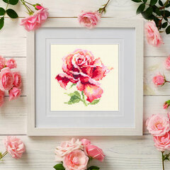 Tikkimiskomplekt Magic Needle "Beautiful Rose" 150-001 hind ja info | Tikkimistarvikud | kaup24.ee