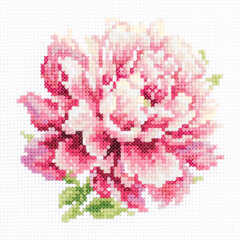 Tikkimiskomplekt Magic Needle "Peony" 150-007 hind ja info | Tikkimistarvikud | kaup24.ee