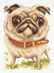 Tikkimiskomplekt Magic Needle "Pug-dog " 16-17 hind ja info | Tikkimistarvikud | kaup24.ee