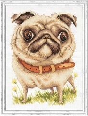 Tikkimiskomplekt Magic Needle "Pug-dog " 16-17 hind ja info | Tikkimistarvikud | kaup24.ee