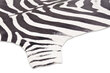 Vercai Rugs vaip Nova Skin, zebra, 155 x 200 cm hind ja info | Vaibad | kaup24.ee