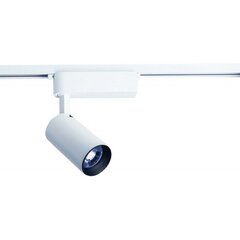 Nowodvorski Lighting valgusti 9008 цена и информация | Потолочные светильники | kaup24.ee