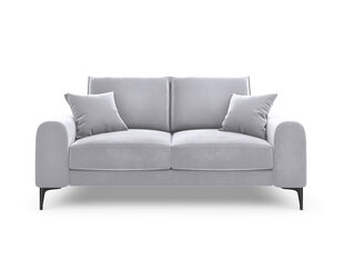 Двухместный диван Mazzini Sofas Madara, велюр, серебренного цвета/черный цена и информация | Диваны | kaup24.ee