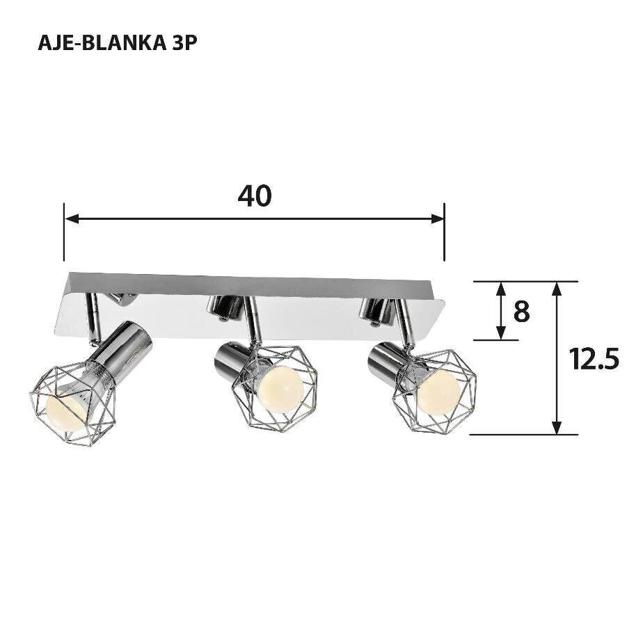 Laevalgusti hind ja info | Laelambid | kaup24.ee