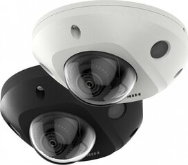 IP kaamera Hikvision 311313622 hind ja info | Valvekaamerad | kaup24.ee