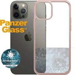 Telefoniümbris iPhone 12/12 Pro цена и информация | Чехлы для телефонов | kaup24.ee