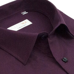 Рубашки мужские NORDIC, прямой силуэт - с длинным рукавом 7095-50 цена и информация | Мужские рубашки | kaup24.ee