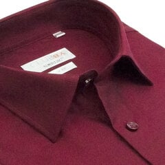 Рубашки мужские NORDIC, приталенный силуэт - с длинным рукавом 9110F-45 цена и информация | Мужские рубашки | kaup24.ee