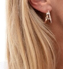 Calvin Klein Outline kõrvarõngad 890870270 hind ja info | Kõrvarõngad | kaup24.ee