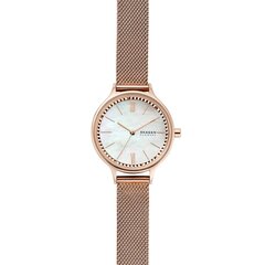 Skagen Anita naiste käekell 890921695 цена и информация | Женские часы | kaup24.ee