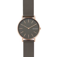 Skagen Signatur naiste käekell 890855490 цена и информация | Женские часы | kaup24.ee