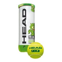 Tennisepallid Head TIP GREEN hind ja info | Välitennise tooted | kaup24.ee