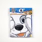 Rannarätik The Paw Patrol Sinine (70 x 140 cm) hind ja info | Rätikud, saunalinad | kaup24.ee