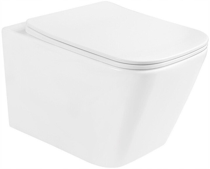 WC komplekt Mexen 5in1 Fenix Slim koos wc-potiga Teo Rimless Slim hind ja info | WС-potid | kaup24.ee