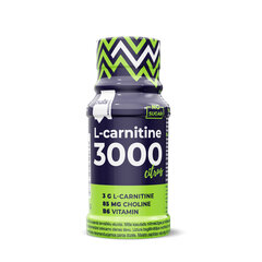 PULS L-karnitiini shott, tsitrus 60 ml, 12 tk karbis hind ja info | L-karnitiin | kaup24.ee