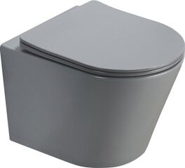 WC komplekt Mexen 5in1 Fenix Slim koos wc-potiga Rico Rimless Slim, Light grey mat цена и информация | Унитазы | kaup24.ee