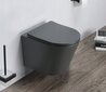 WC komplekt Mexen 5in1 Fenix Slim koos wc-potiga Rico Rimless Slim, Dark grey mat цена и информация | WС-potid | kaup24.ee