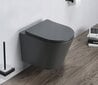 WC komplekt Mexen 5in1 Fenix Slim koos wc-potiga Rico Rimless Slim, Dark grey mat цена и информация | WС-potid | kaup24.ee