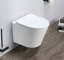 WC komplekt Mexen 5in1 Fenix Slim koos wc-potiga Rico Rimless Slim, White mat hind ja info | WС-potid | kaup24.ee