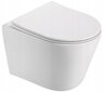 WC komplekt Mexen 5in1 Fenix Slim koos wc-potiga Rico Rimless Slim, White mat цена и информация | WС-potid | kaup24.ee