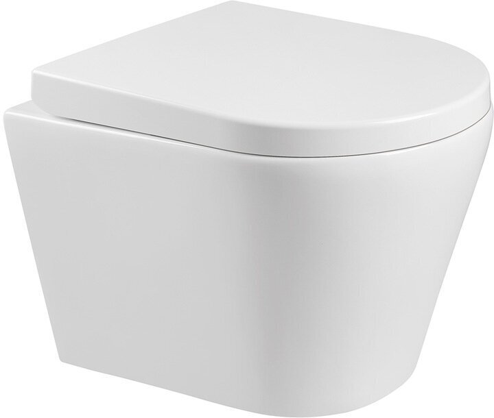 WC-komplekt Mexen 5in1 Fenix Slim koos WC-potiga Rico цена и информация | WС-potid | kaup24.ee
