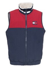 Meeste vest Tommy Jeans 8720112530258 hind ja info | Meeste vestid | kaup24.ee