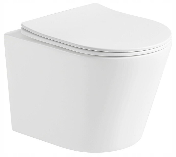 WC komplekt Mexen 5in1 Fenix Slim koos wc-potiga Rico Rimless Slim, White mat hind ja info | WС-potid | kaup24.ee