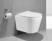 WC komplekt Mexen 5in1 Fenix Slim koos wc-potiga Rico Rimless Slim цена и информация | WС-potid | kaup24.ee