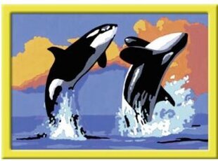 Maalid numbrite järgi raami "Two whales" 18 x 13 Li R 28013 цена и информация | Живопись по номерам | kaup24.ee