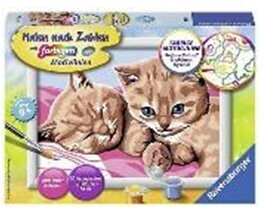 Maalid numbrite järgi raami "Two red kittens" 18 x 13 Li R 28012 hind ja info | Maalid numbri järgi | kaup24.ee